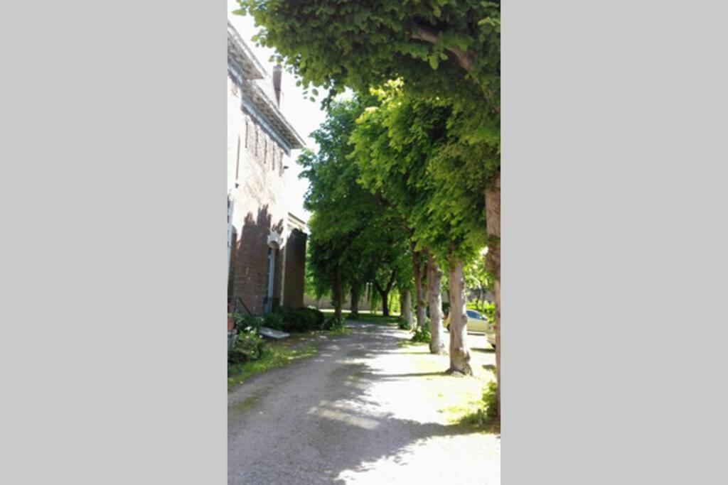 Au Coeur Des Remparts, Residence Du Chateau* グラヴリーヌ エクステリア 写真
